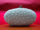 Evening Bag
