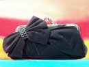 Evening Bag