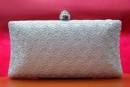 Evening Bag